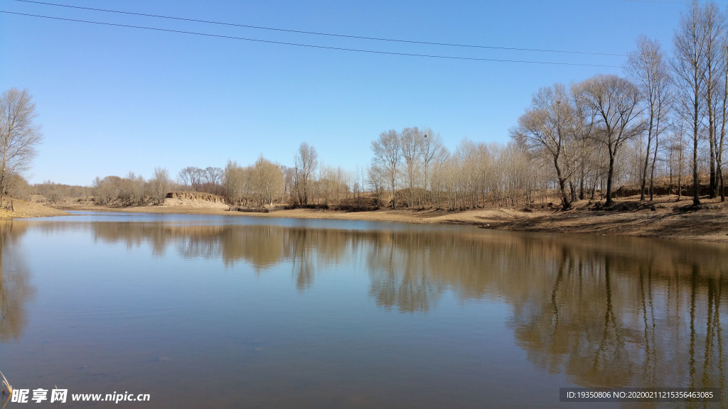 初春平静的河水和树