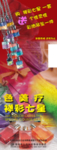 色美疗彩套装宣传展架易拉宝海报