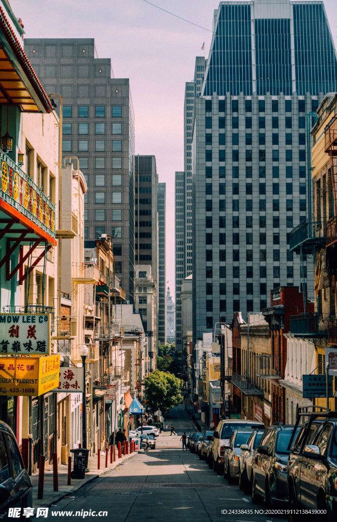 城市