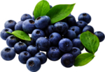 蓝莓食物 免抠图   食物