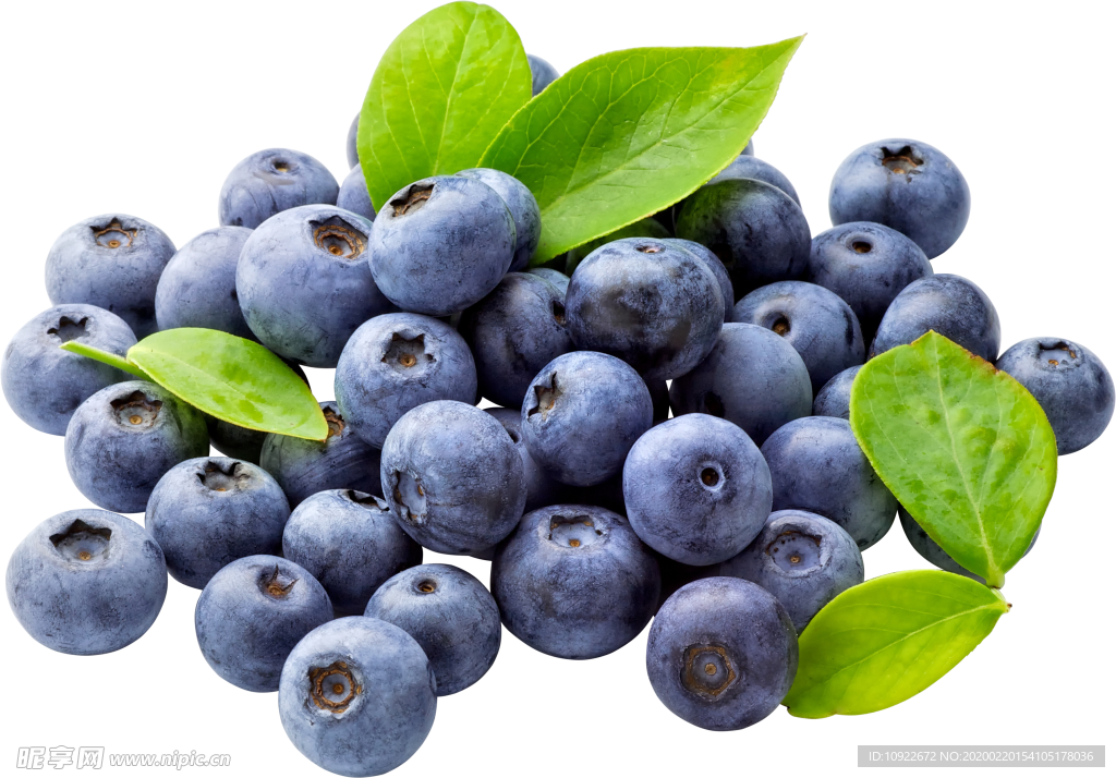 蓝莓食物 免抠图   食物