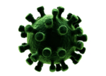 病毒绿色细菌   病毒