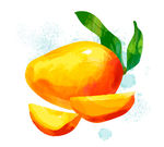 水彩 绘美味芒果