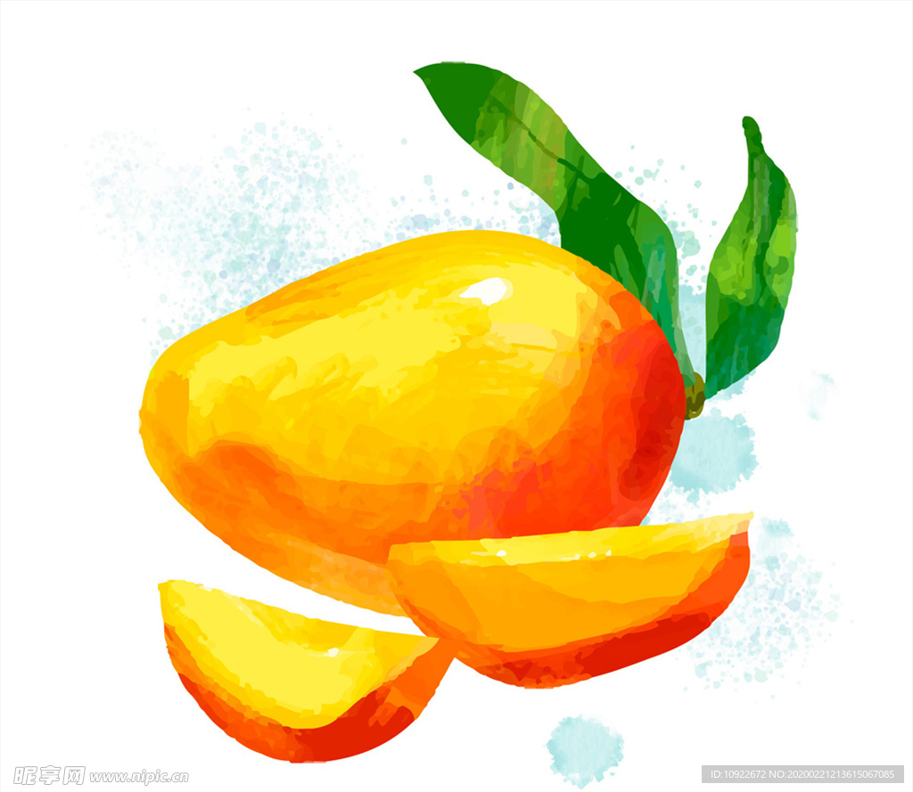 水彩 绘美味芒果