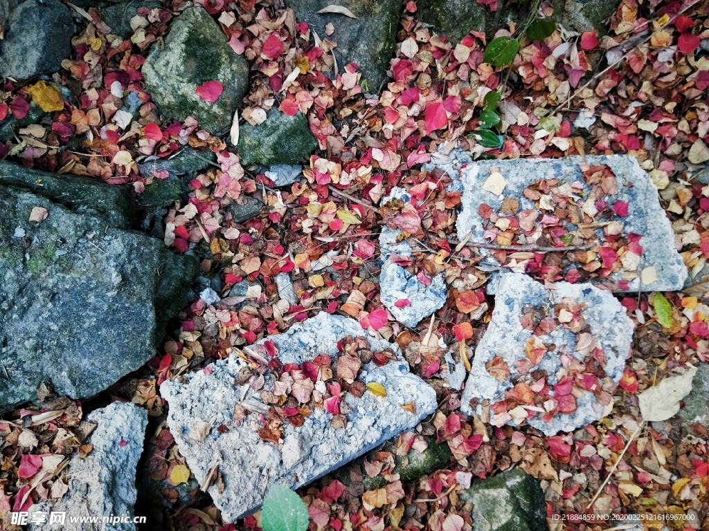 秋天的氣息