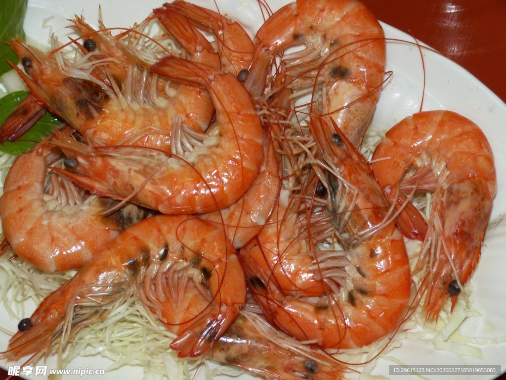 龍蝦圖片