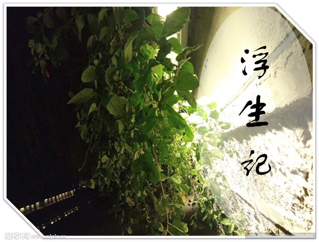 浮生記