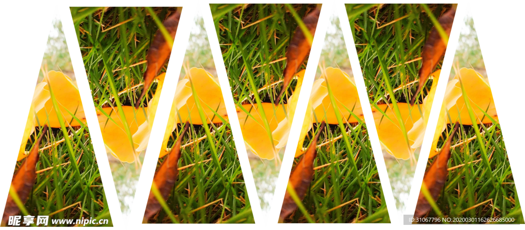 秋
