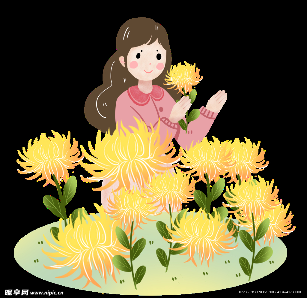 重阳节女孩赏菊花素材