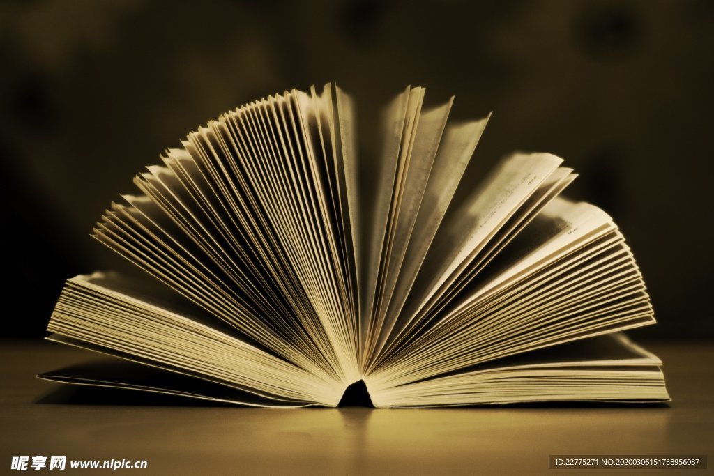 翻開的書