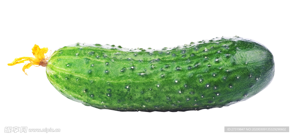 黄瓜