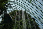 新加坡海滨湾温室植物园