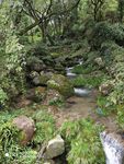 綠河