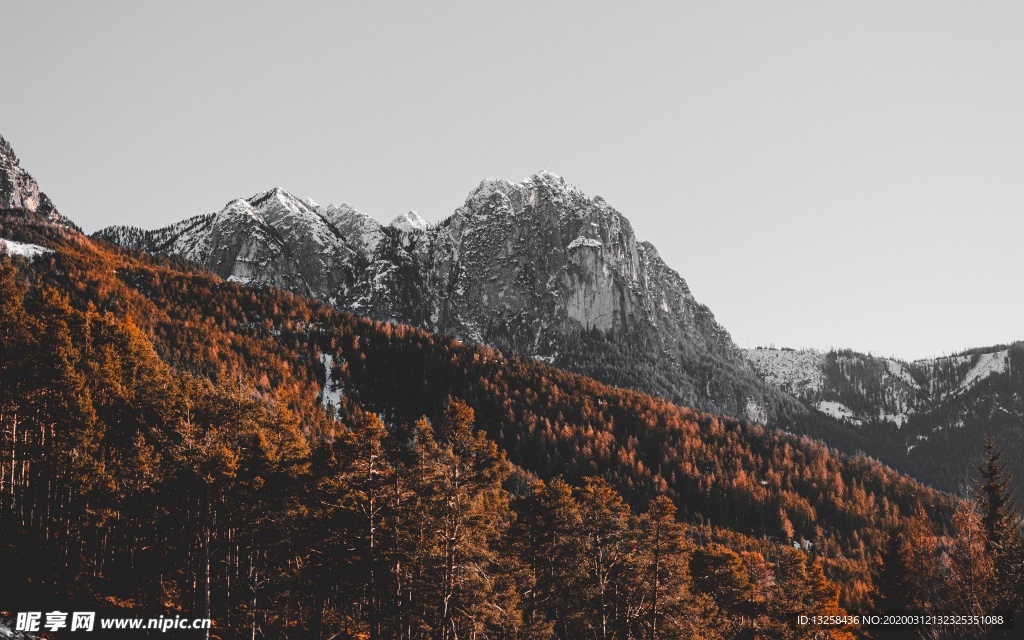 群山森林樹木天空風景