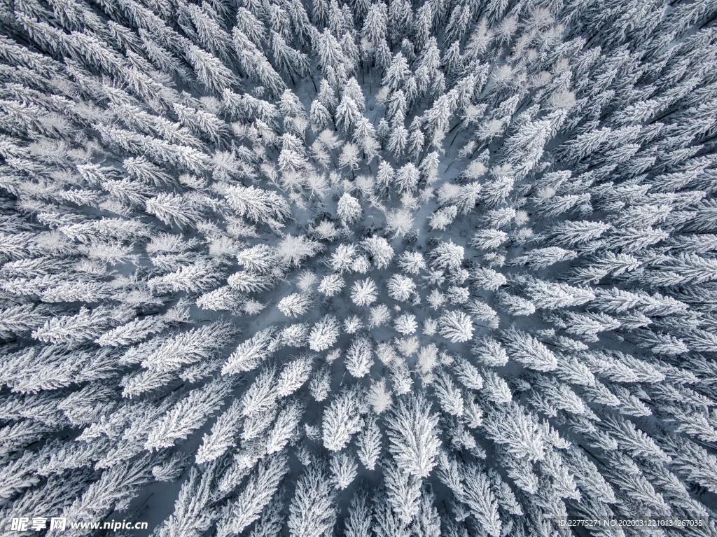 冰雪森林俯視