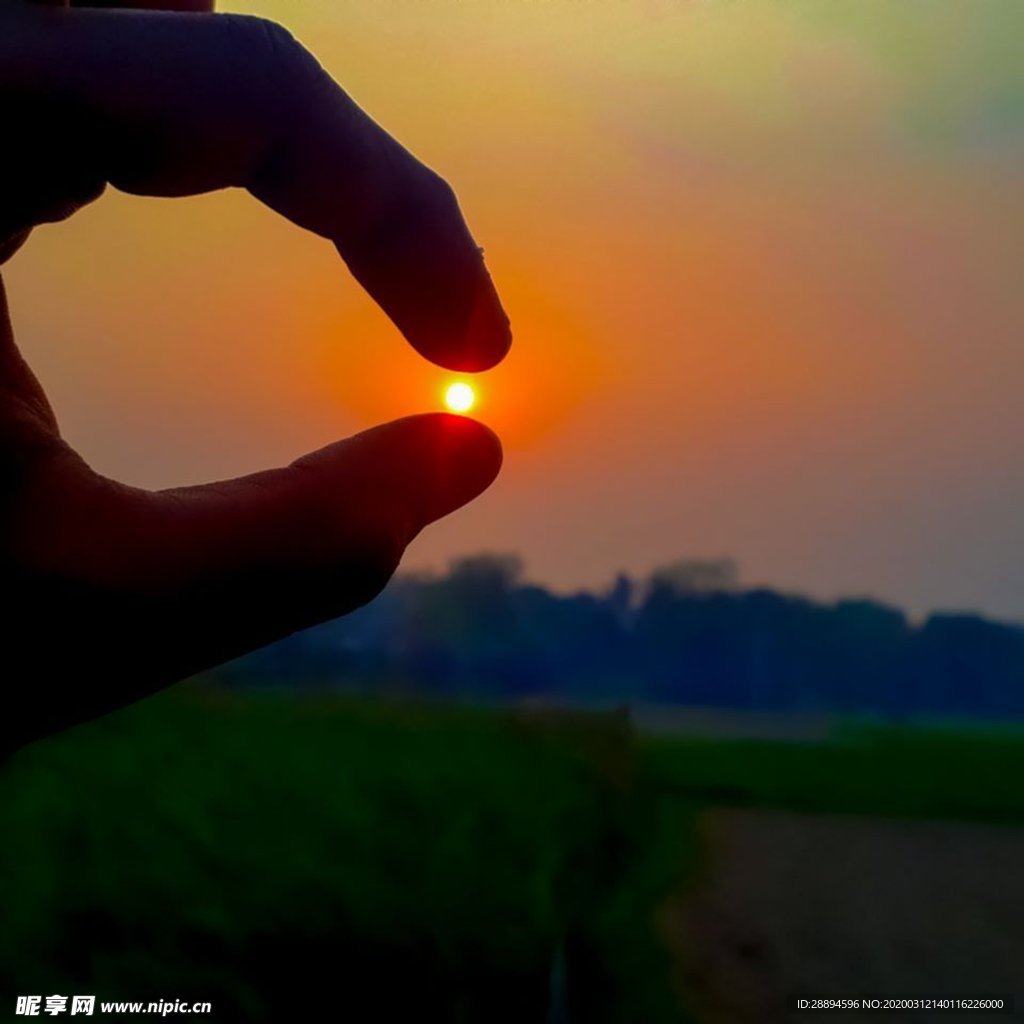 太陽 天空 結束 橙色