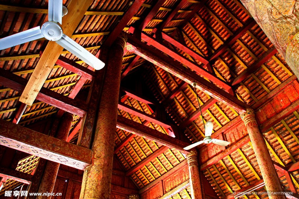天花板 木材 建設 屋頂