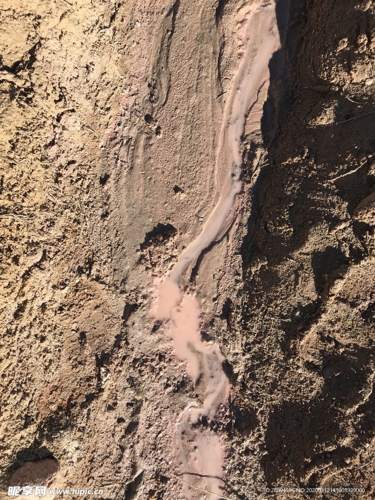 科罗拉多州 石 岩 纹理