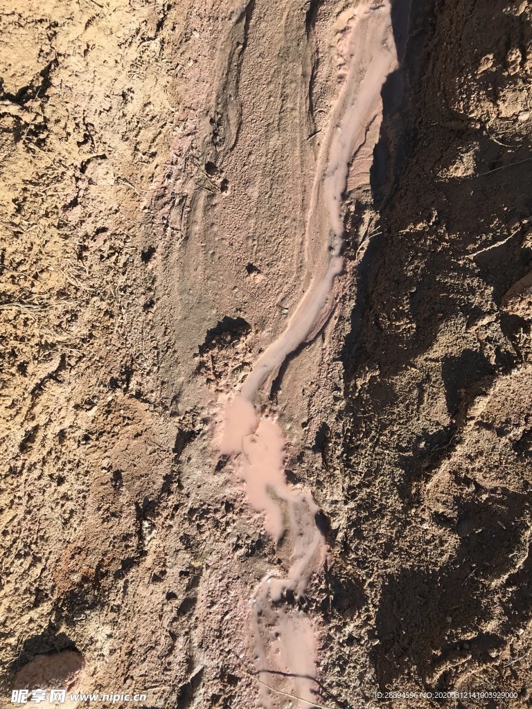 科羅拉多州 石 巖 紋理
