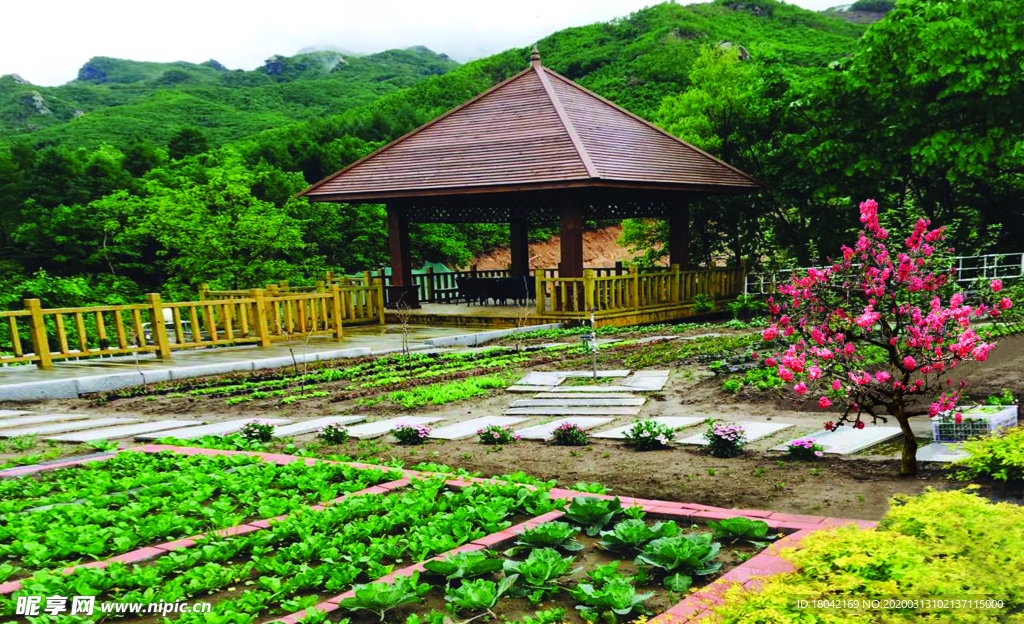 農家院