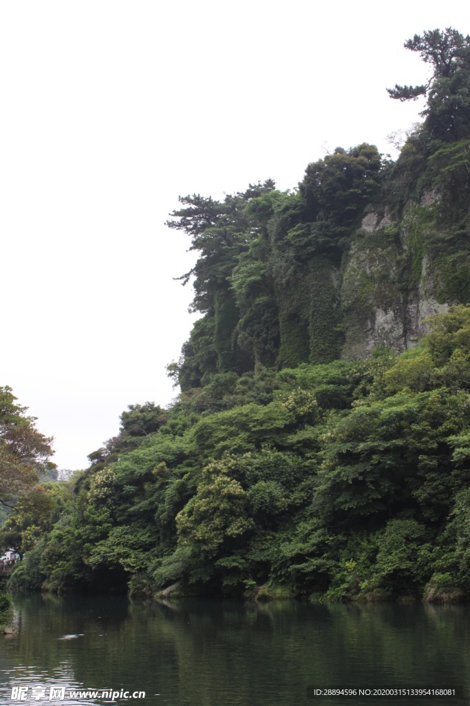 山 石 河 旅行 樹(shù)
