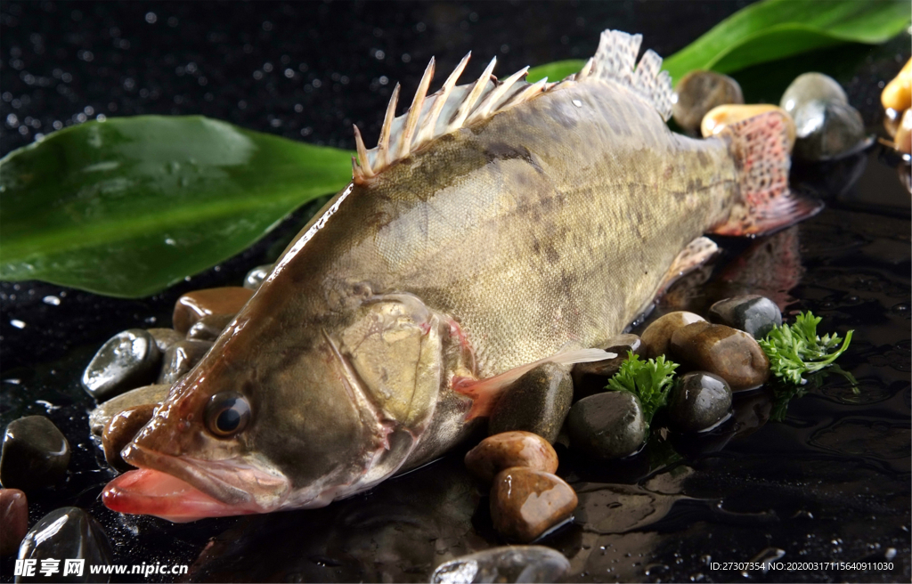 冬菜桂魚