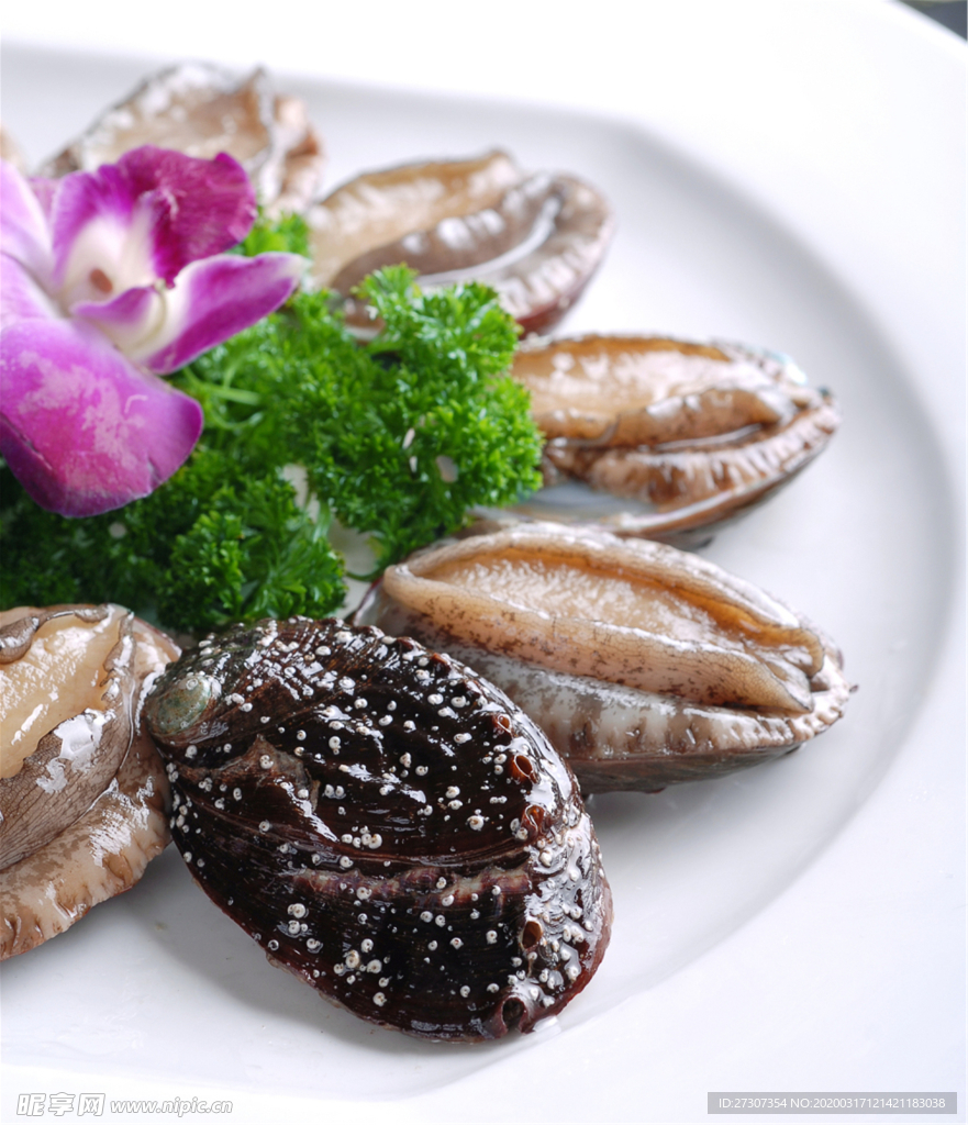 鮑魚仔