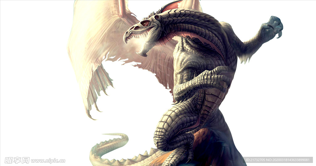 飛龍
