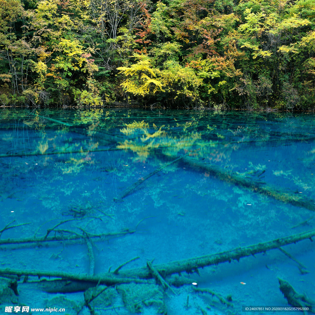 綠水青山的景色