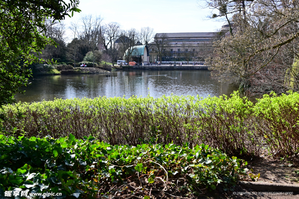 周游 公園 威斯巴登 游覽