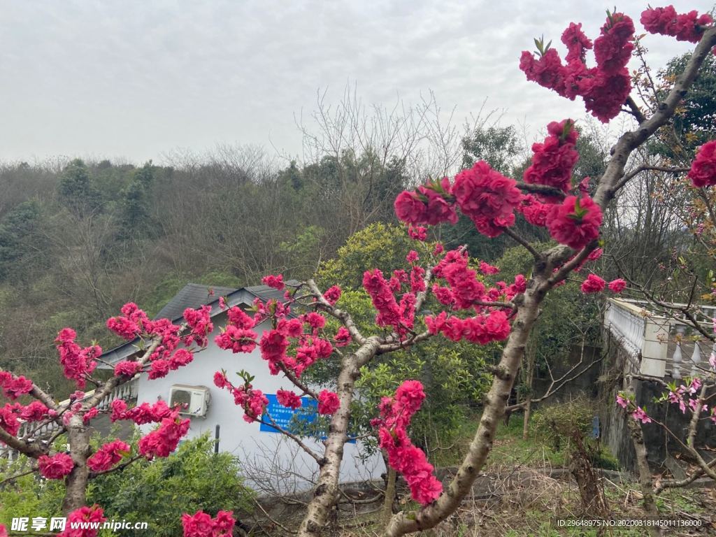 山水風景 山水畫 風景山水畫