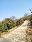 路