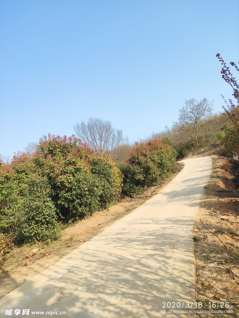 路