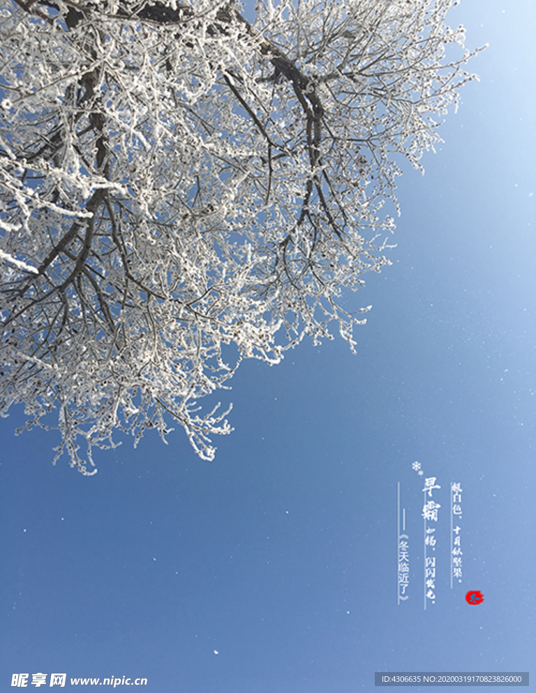 冬日霜景