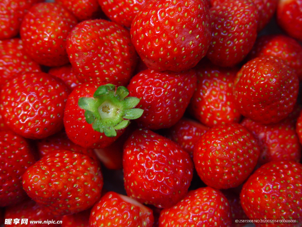 草莓 蓝莓 红色草莓 奶油草莓