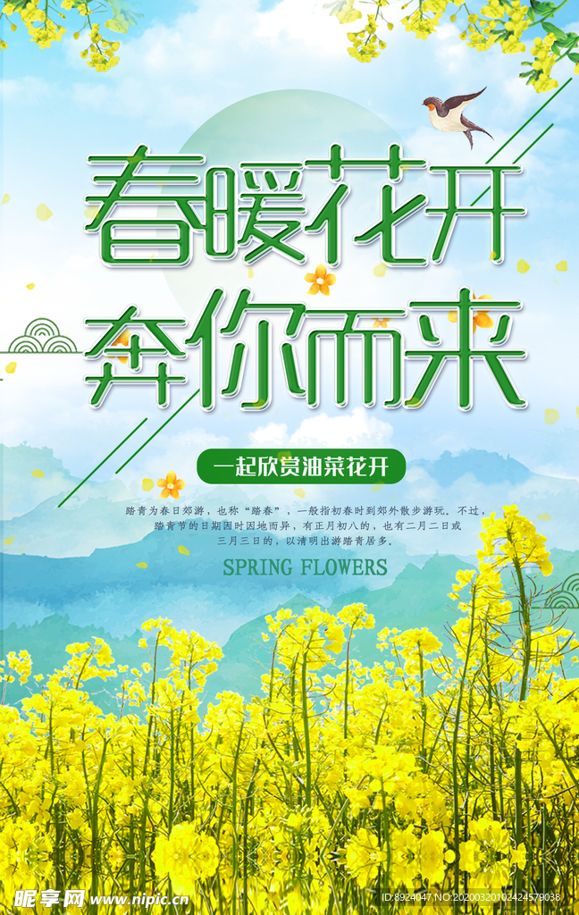 踏春 油菜花開