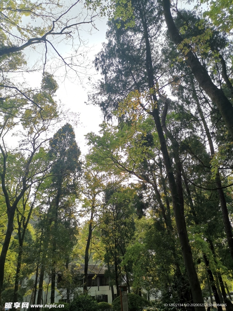 深山建筑