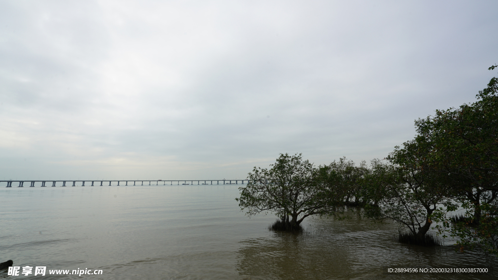 海邊 風景 閑暇 下午