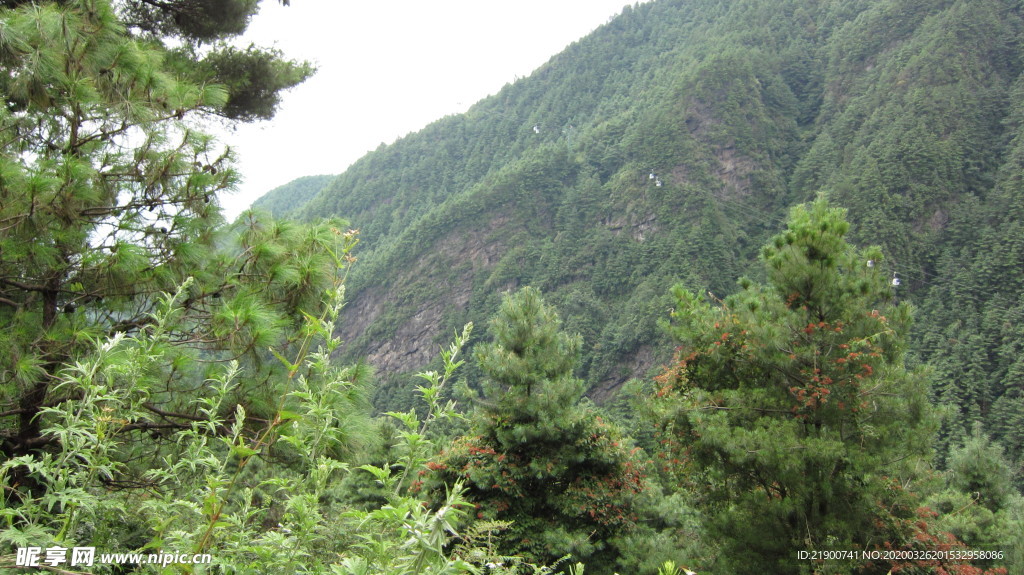 大理蒼山