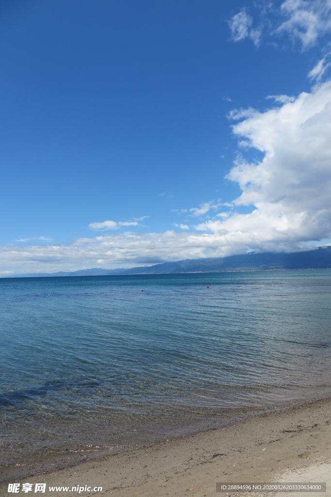 海洋 海灘 云