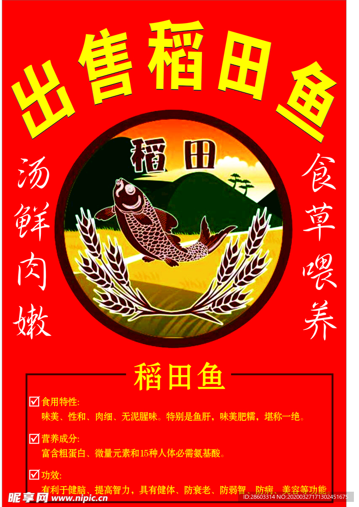 稻田魚海報