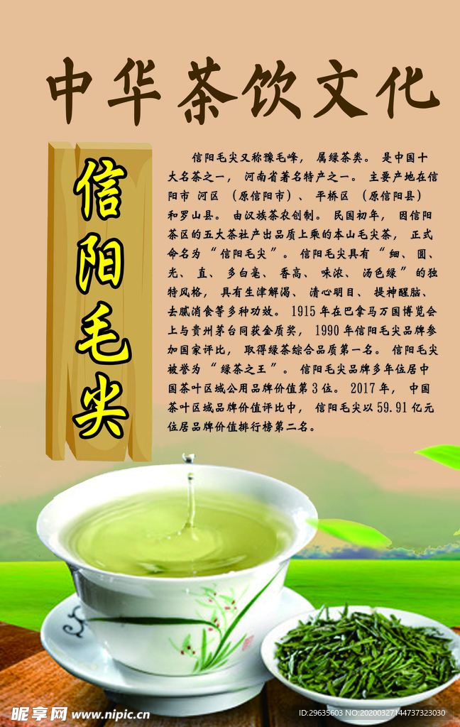 中华茶饮文化之信阳毛尖