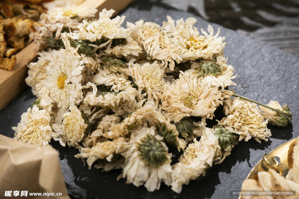 白菊花