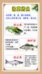 烤鱼 鱼 烤鱼广告 烤鱼宣传