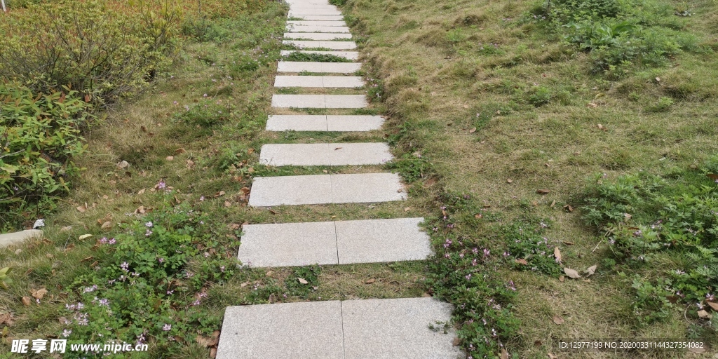 草地石阶梯路