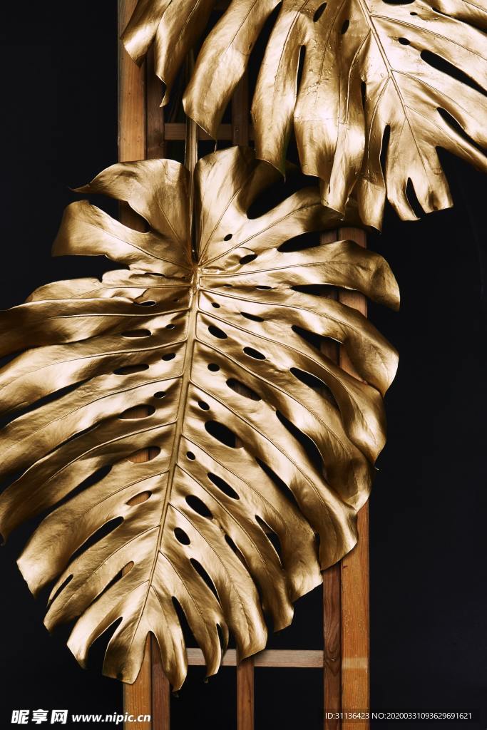 金色樹葉