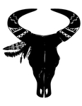 动物头骨 博霍 民族 西南 牛