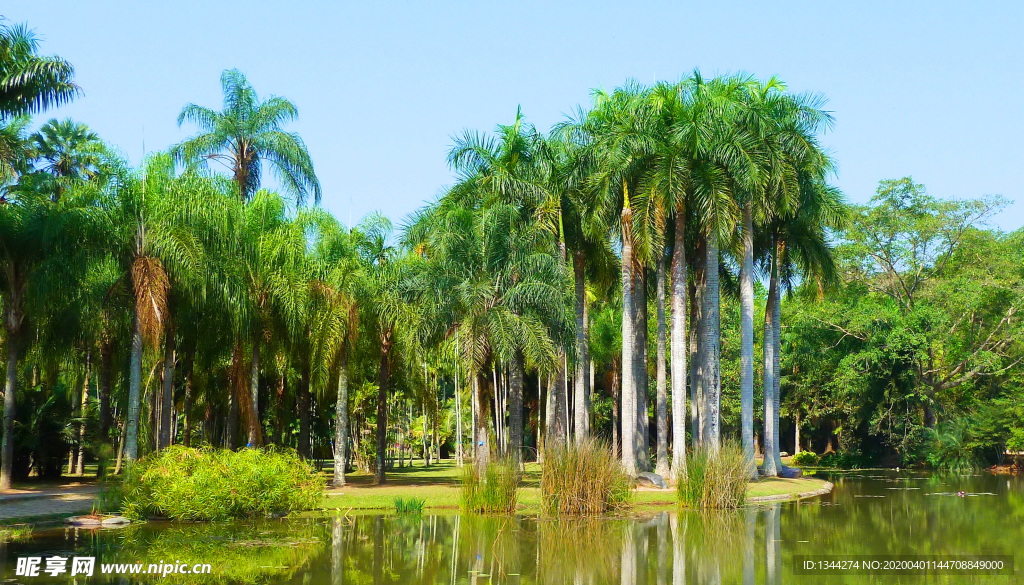 勐仑植物园