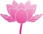 手護蓮花
