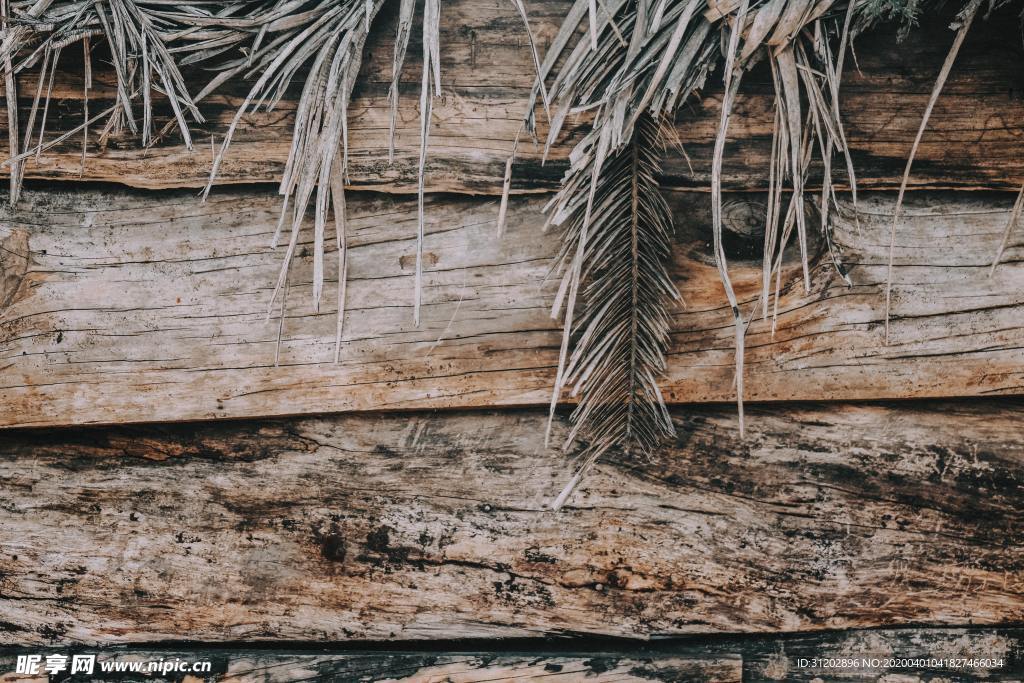 植物木板松树木纹木材背景